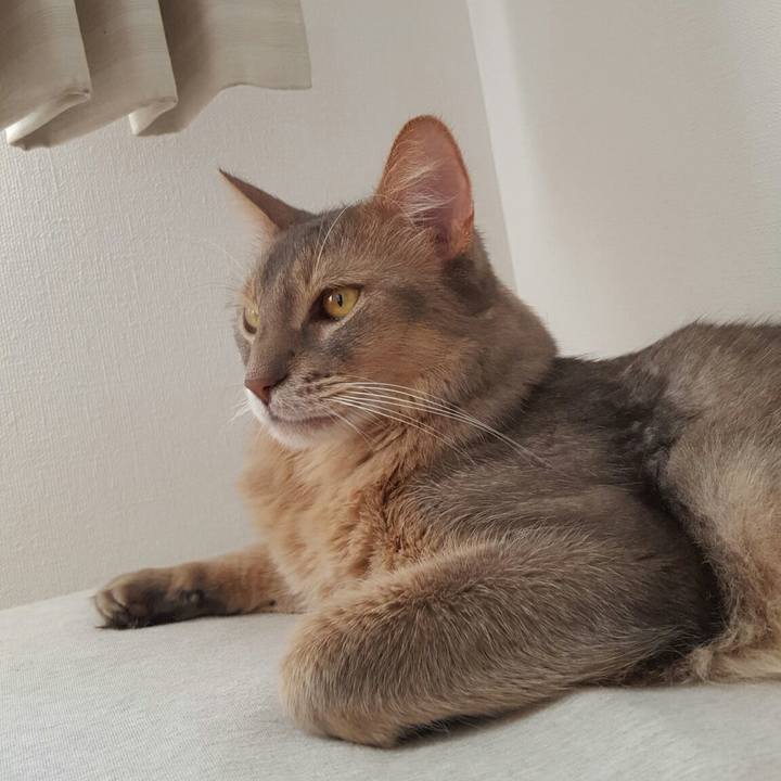 57b2f9b6 112c 4602 8b79 a2add986e605 1540450413112