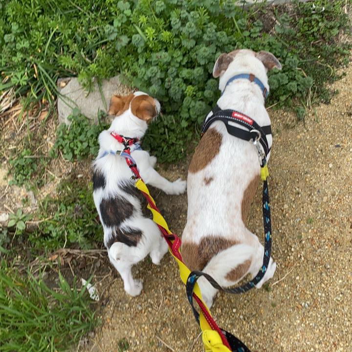 57b321d0 08cb 415f 9563 cb233ec1f7d4 1615503982529