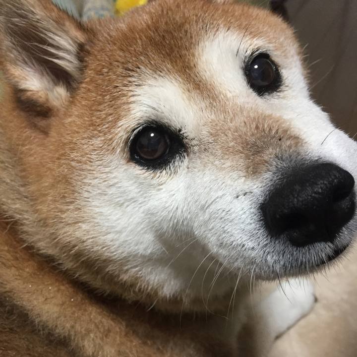 57b32e15 5c06 4770 a417 93e472d788e8 1538209699351