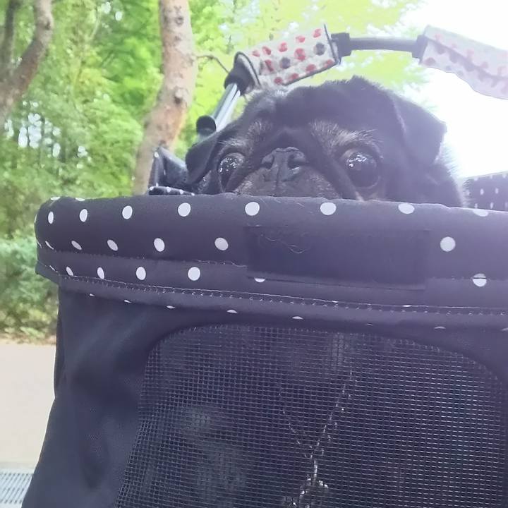 57b351e1 c1e2 4a77 ab70 892e95d52d05 1592805464490