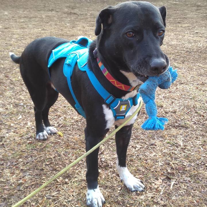 57b3f4ab 6373 4995 b699 9455f1487958 1613174671289