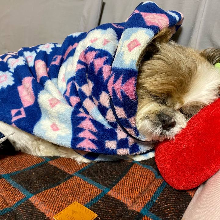 57b44947 00e1 45b9 b248 2235a3bdacc4 1605510981565