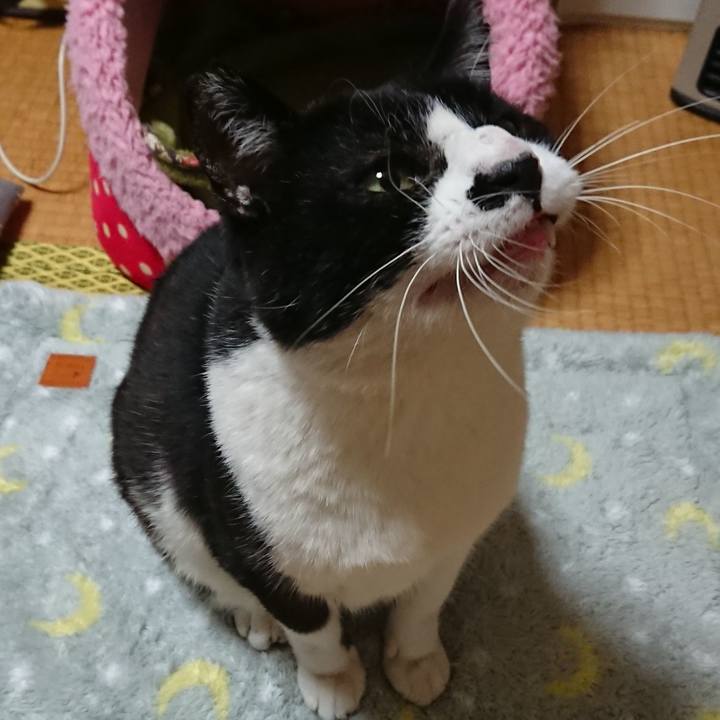 57b44a07 af8d 49d2 bc09 09fa7e48896d 1543047822992