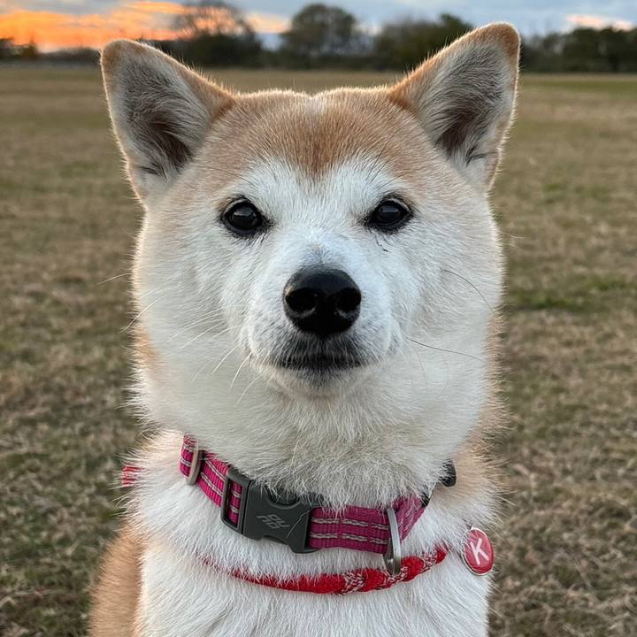 57b45671 3c59 489a a566 b9fe39f2f401 1734338982678