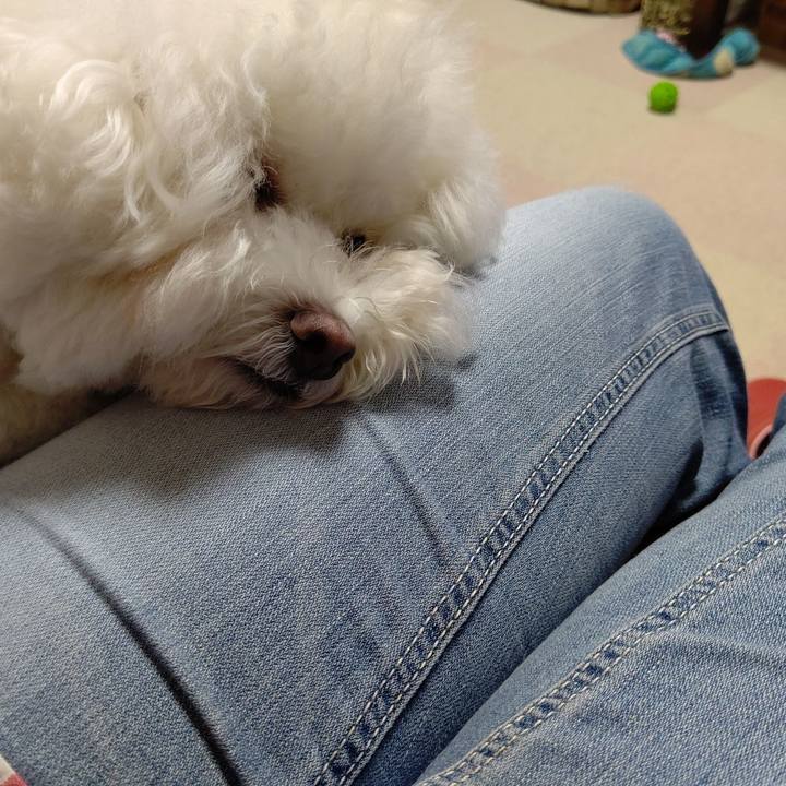 57b458a8 f445 4d2b a86d 69bdc065a9fc 1602735250852