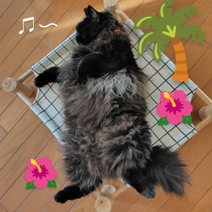 57b45edf f4ff 49f9 8282 fc12544ec2eb 1733440564707