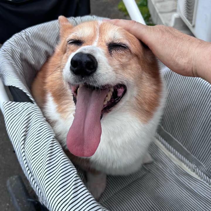 57b478b0 0996 4773 857f 20cc0c0bf1f1 1750728644555