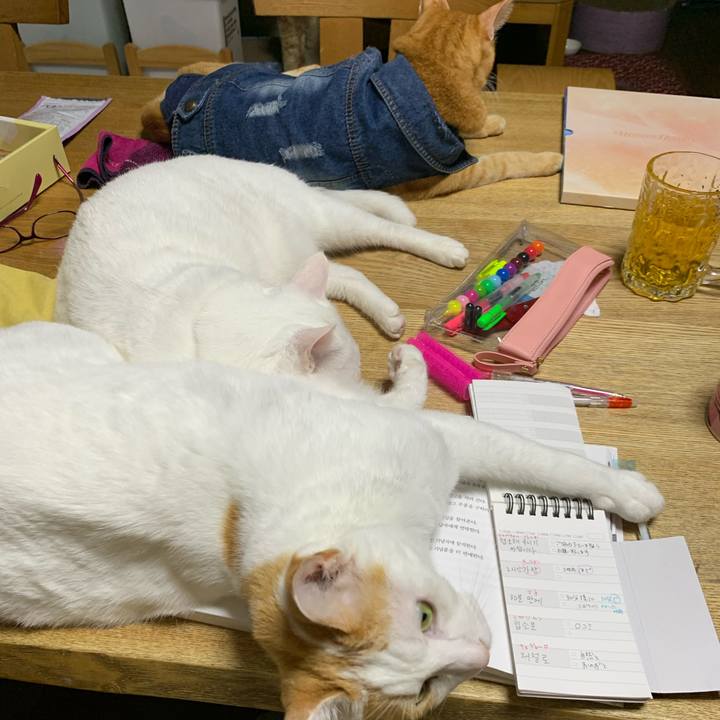 57b48314 6139 4284 bd02 e64371229168 1625845150001