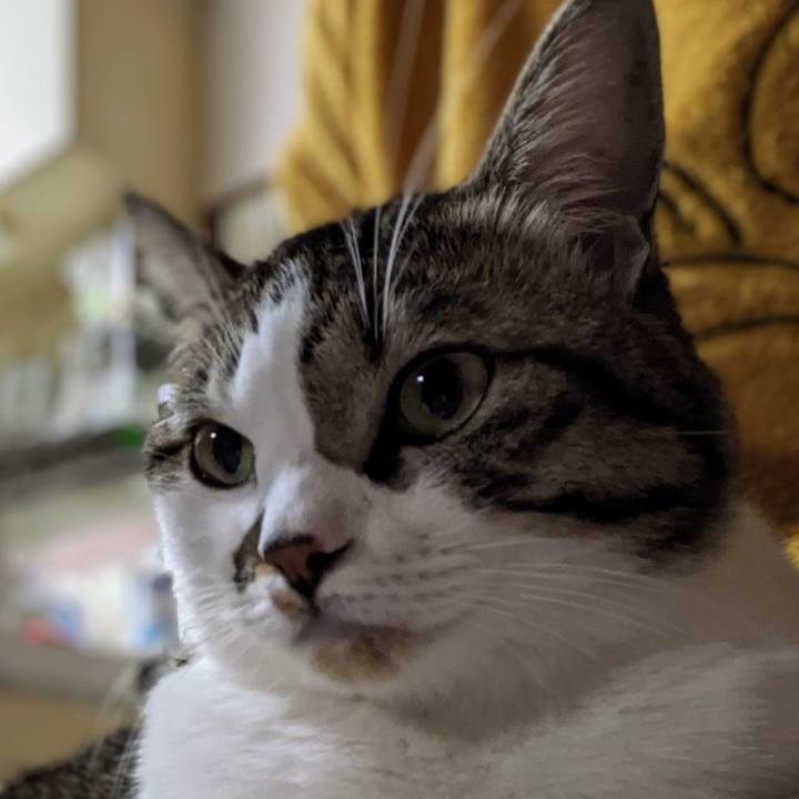 57b4aacb 6227 405c a515 553ebe79eba1 1666427438278