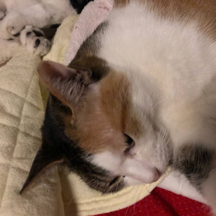 57b4b1cd b256 4b8b 9124 be5c37f80d7d 1604678559832