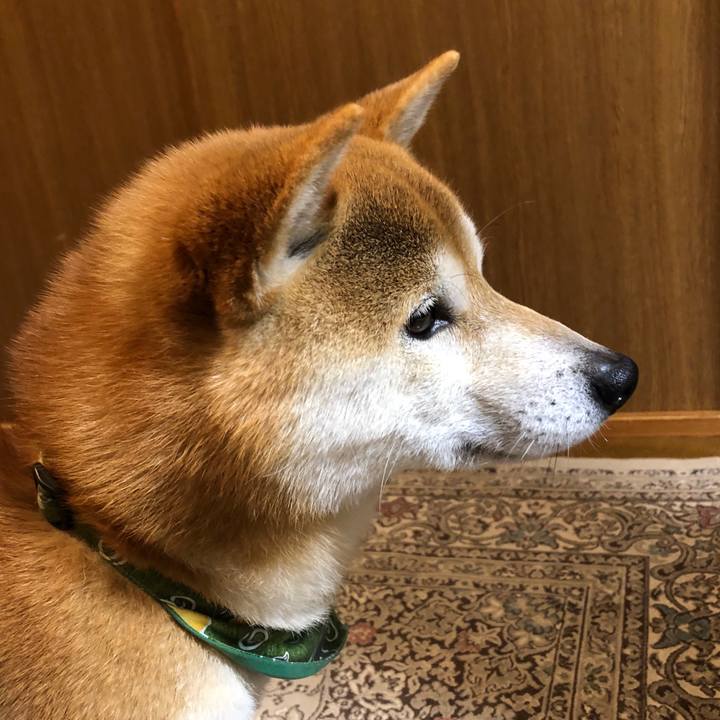 57b4c32c b17c 4171 be49 267bdf7b09d5 1554636066340