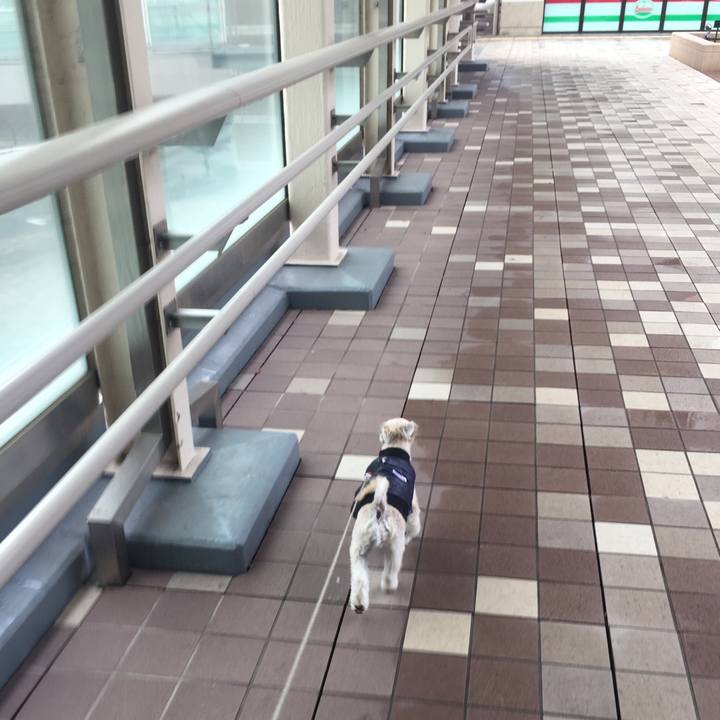 57b4e7bb a3f4 4b23 b836 041d3652e2c8 1544609191372