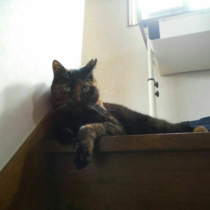 57b4fc89 41de 48fb 9226 06c5097e3ab6 1538978643616