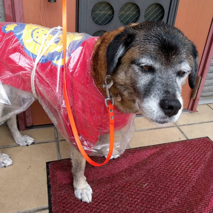 57b543a7 972b 4da4 a55c 35f09a4c846c 1541466168151