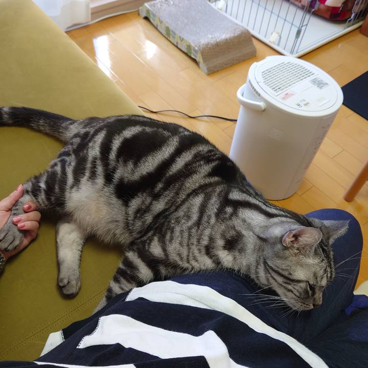 57b5477a b4c4 435c be07 ce9e7ac0b42b 1634954235692