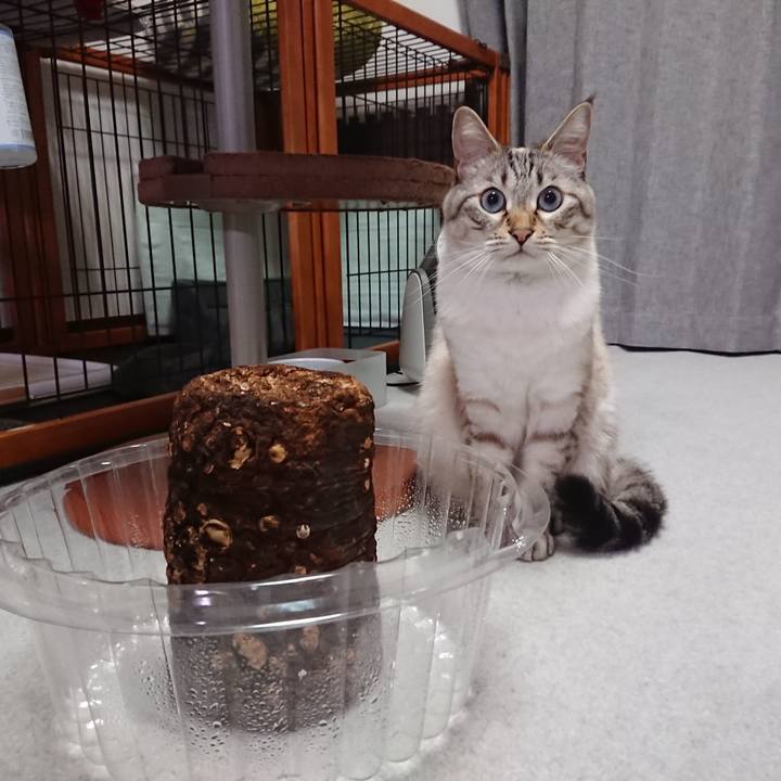 57b553ed 834b 4e80 b868 6479c71f335d 1591007885267