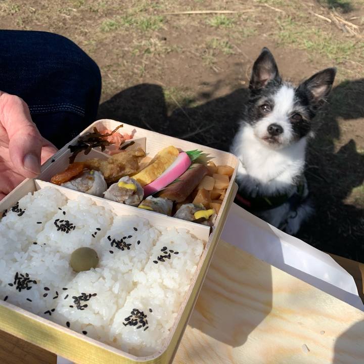 57b55cbf ceba 4d49 93b6 81697e88f2d7 1612670183064