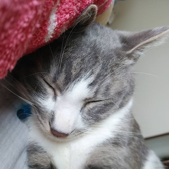 57b56856 b402 4f01 b944 5a4c381c936d 1589763013166