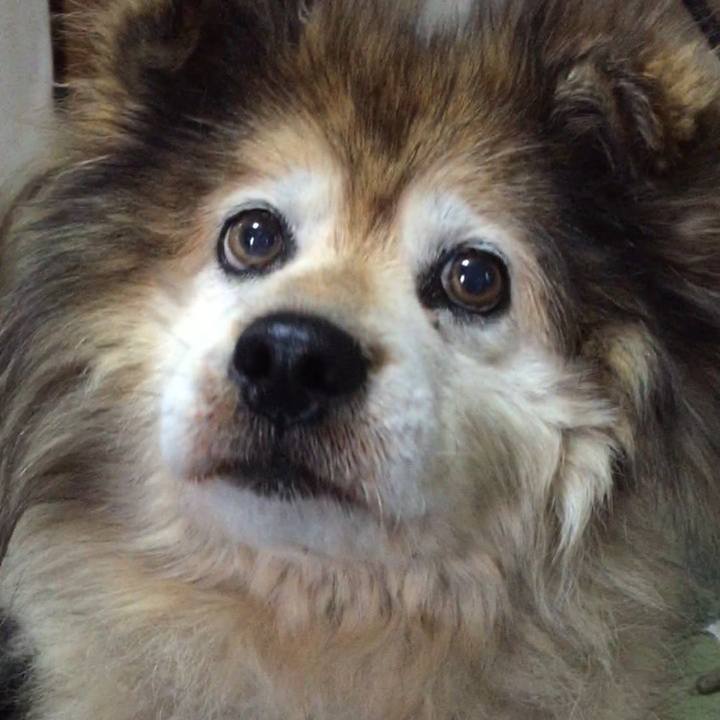 57b5806f 36f5 48a4 80e2 e956ea3a8b45 1601654690163