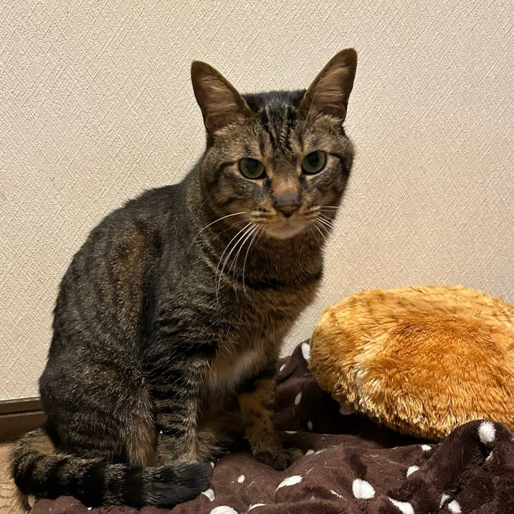 57b597ef efb6 4fd1 853f 4e33e3d2f227 1687955529782