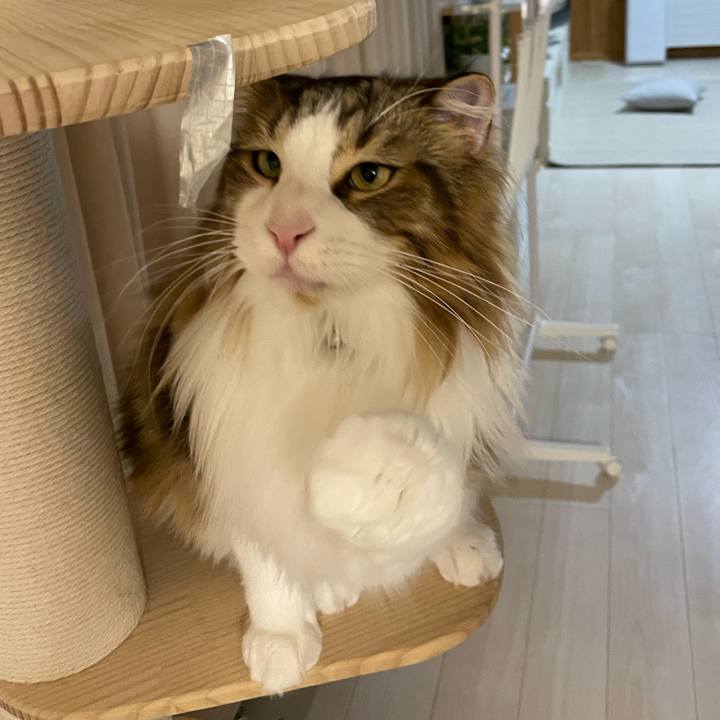 57b5990f 611c 465e 8940 2b3a4486a5f9 1671658537637