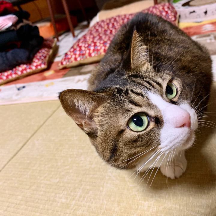 57b5a6f6 7ea0 4033 b2c2 3f5a18a079b7 1578994596164