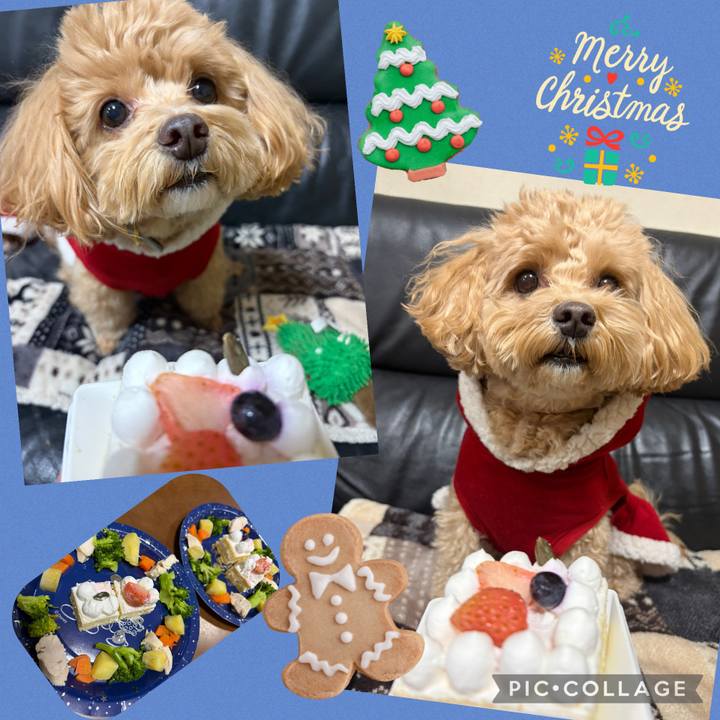 57b5aa3f f728 488b a7a6 c9b0bb31841d 1766708447548