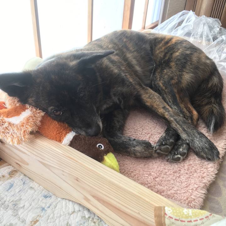 57b5ba51 2cbe 4588 91a7 51217d5f845f 1552367511348