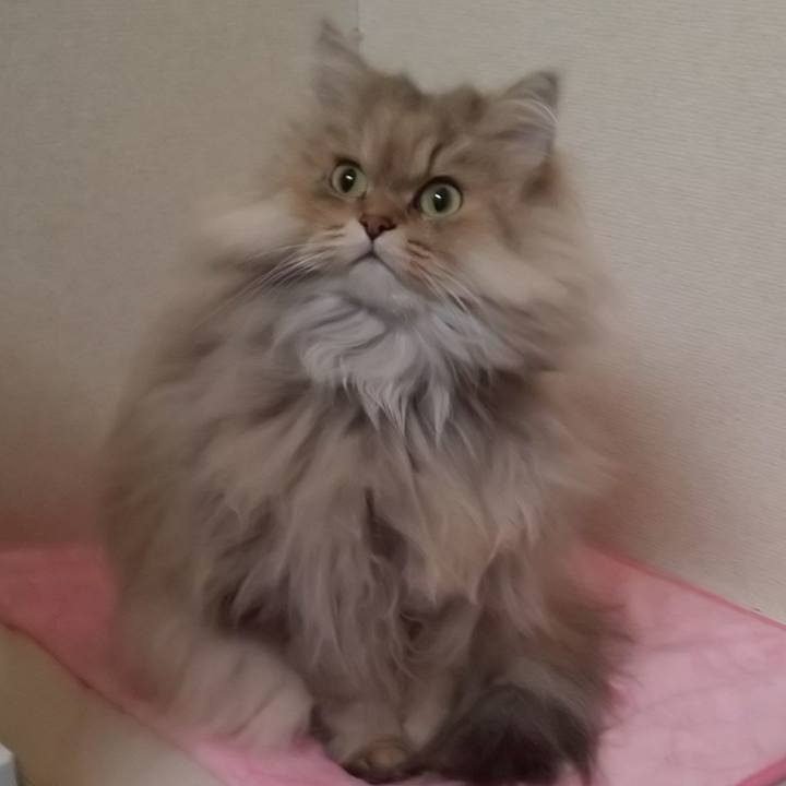 57b5d291 3e2c 4cc1 a209 672da1a1d601 1608786975622