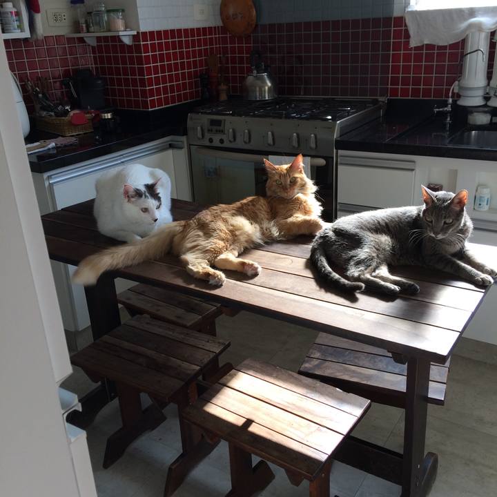 57b6207e 3bd8 459d b9d0 0c45563b6d35 1556895902504