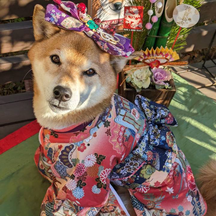 57b643db 1944 47d3 93f8 869888e673df 1704522494603