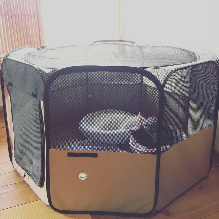 57b65f69 820f 4798 8483 e72b6162da52 1536801807966