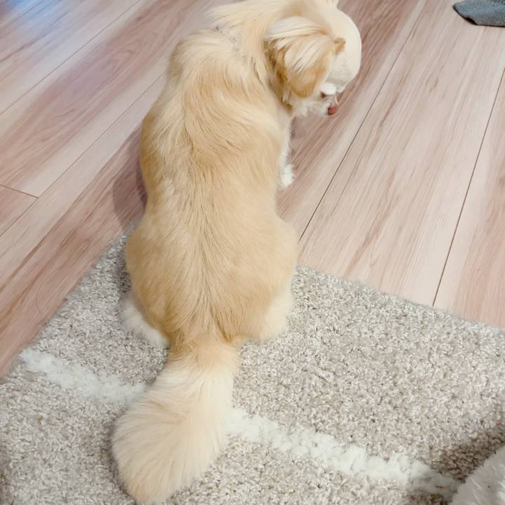 57b6666f c4b5 4e5c 9b92 0b0456a4203b 1716025128461