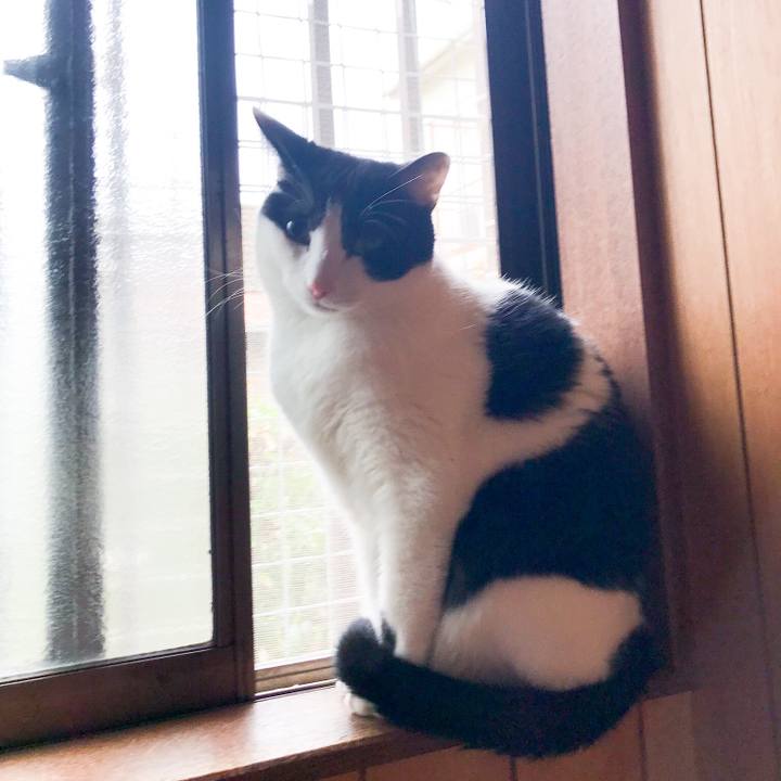 57b686b4 71ab 4035 bb90 d29096d3b3ae 1521940611047