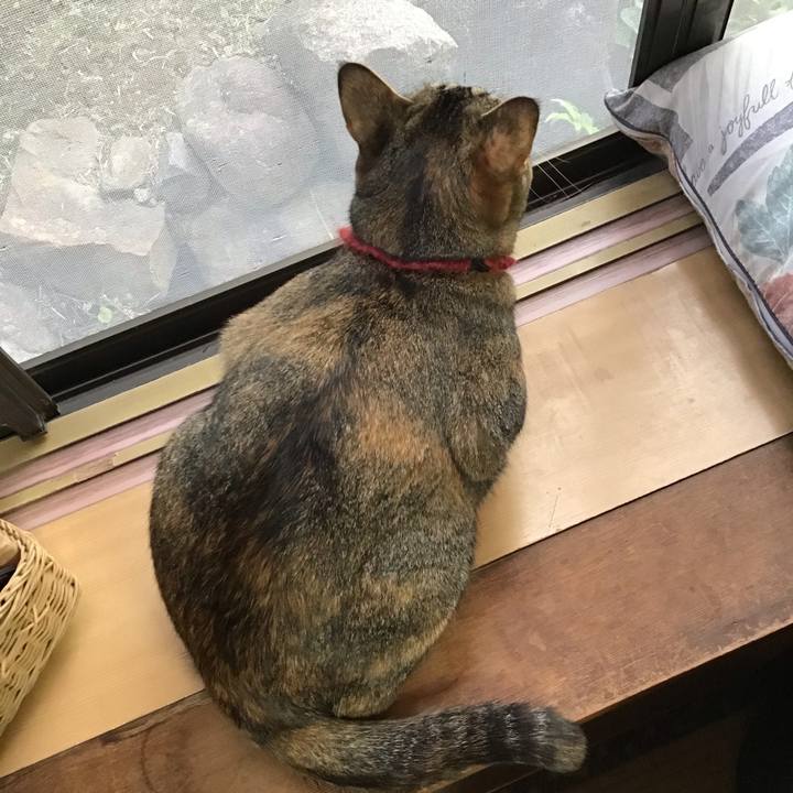 57b6b3b2 df87 42da 85e0 6f71e630d29e 1601279913295