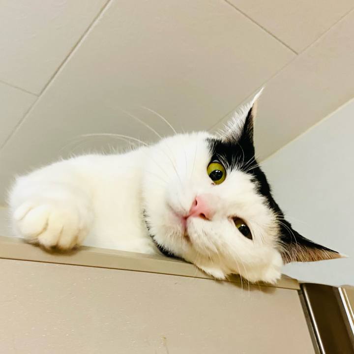 57b6bdef e35c 4599 a0f5 8b0953c7bbaf 1672929548035