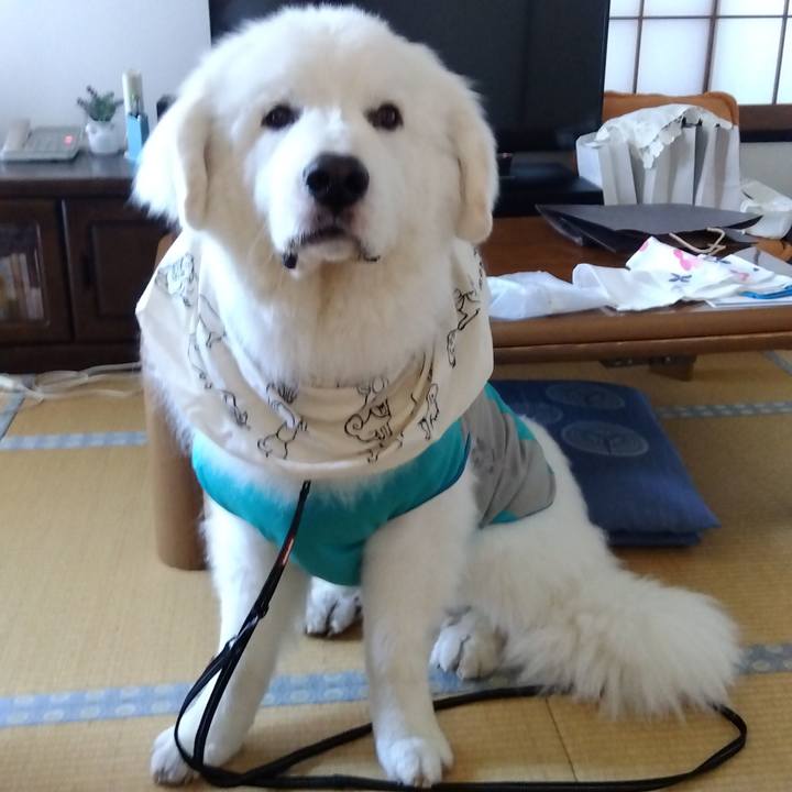 57b6e56a 478b 4249 b248 47e8113b54b4 1692264118694