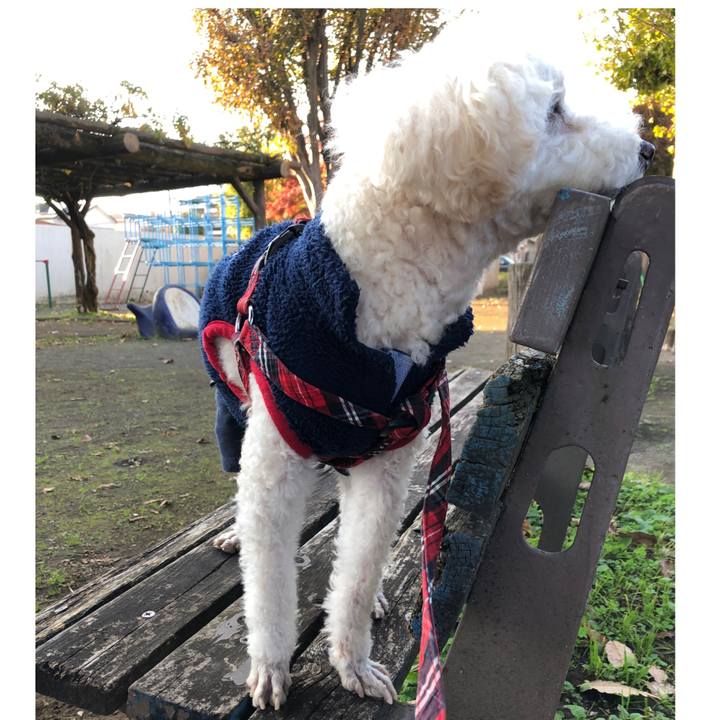 57b71bbe 3f2d 49a2 bfd9 079b59626fa6 1543327153252