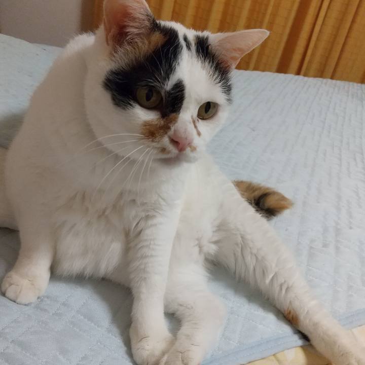 57b7465f 2db0 4bca a95e e0d619273f39 1598792906595