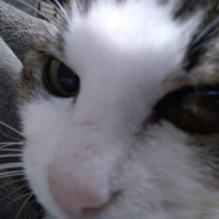 57b74ae3 7254 4528 b93e da4334af9350 1550663178441