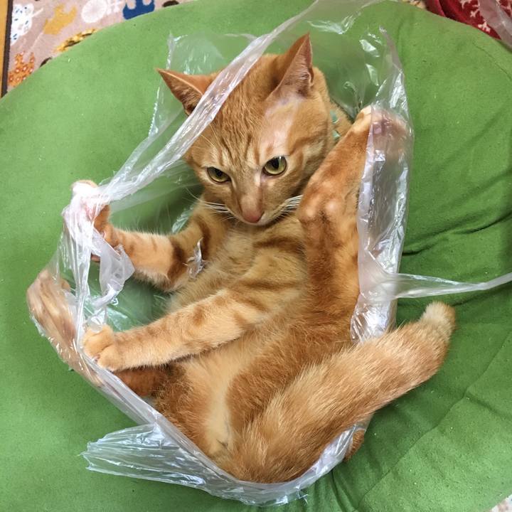 57b76825 d1cf 4f2c 86aa 2c4fe89d913b 1518317024984