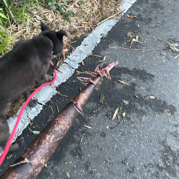 57b76a58 960a 48e3 995c d37e6656e38e 1685820437078