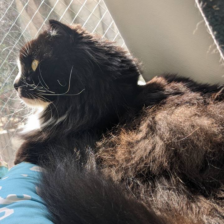 57b79c5d 49ce 4aa8 b27b bc94579bbde2 1713074504007