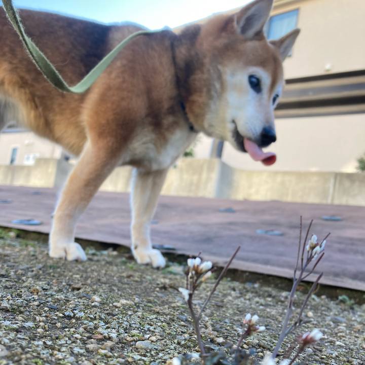 57b7b14c e075 4894 b018 8d4c3479bc1d 1709344456556