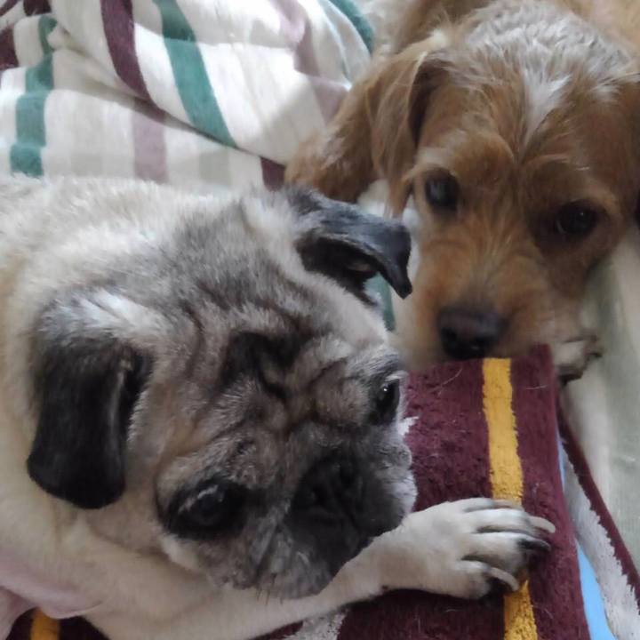 57b7bbb1 eaf3 478b b385 9c46eee000cf 1568180982625