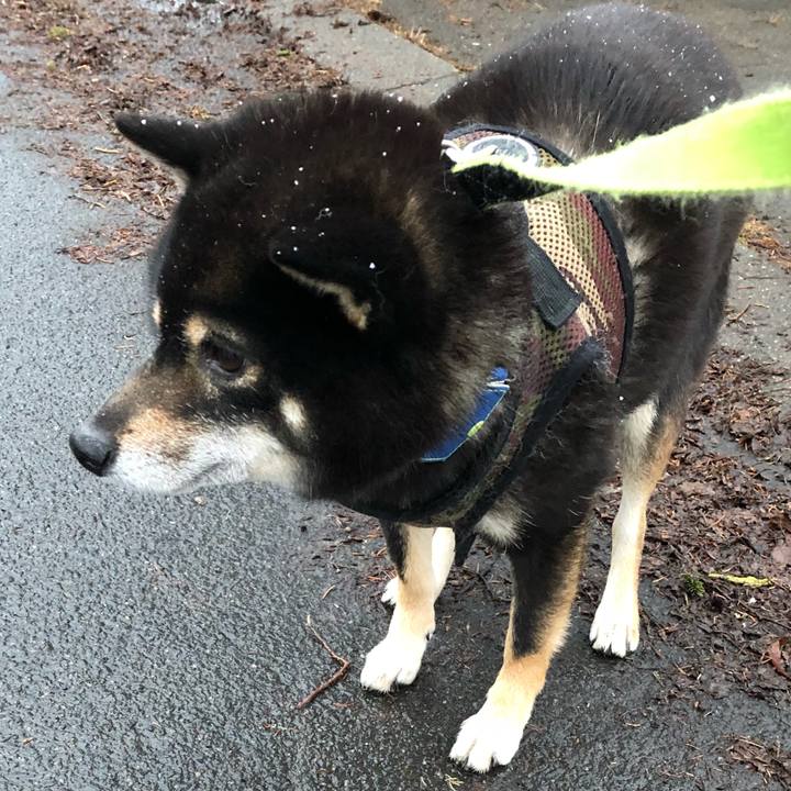 57b7e46d 798b 4bee 81be bbaa48189a5d 1523065500461