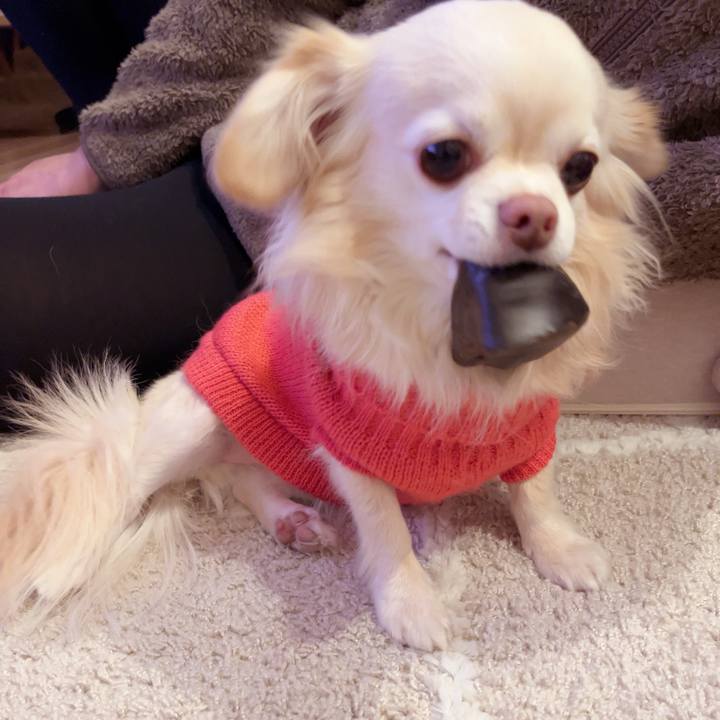 57b81f87 5f22 4645 af64 9440a1343c80 1739885512966