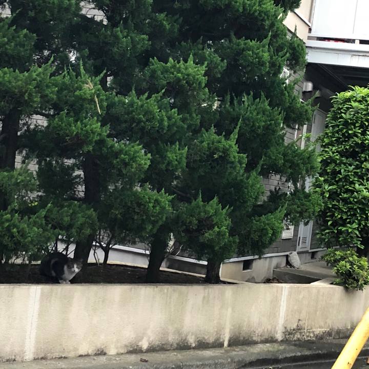 57b823bc 22a2 4d98 9c68 deb7a50ec749 1524599339436