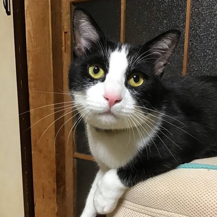 57b83cc2 d066 4cda 861b 2cf0383a538b 1652529660885