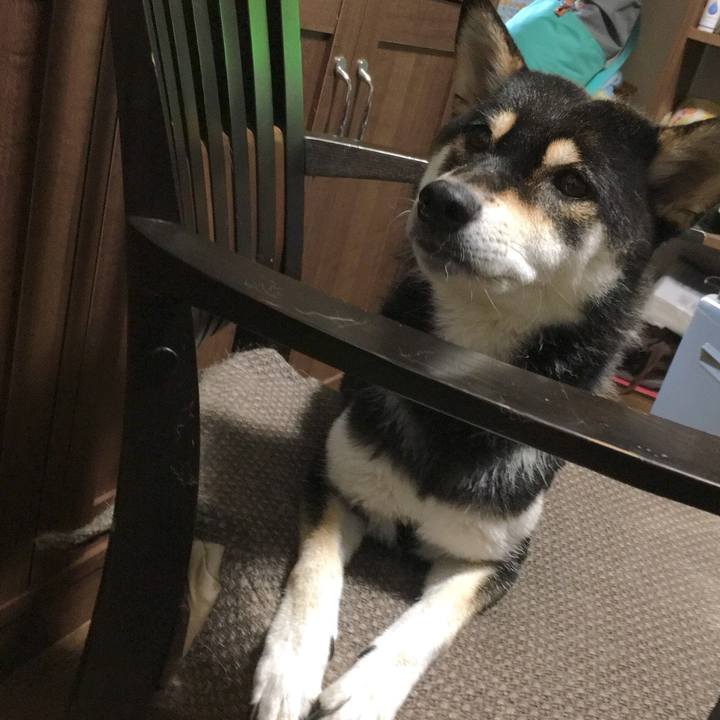 57b8852d ae75 4780 9b9c 0b9d2872adf6 1534150960153